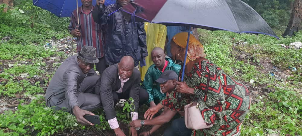 Matoto: La campagne de reboisement lancée ce lundi dans la forêt de Dabompa