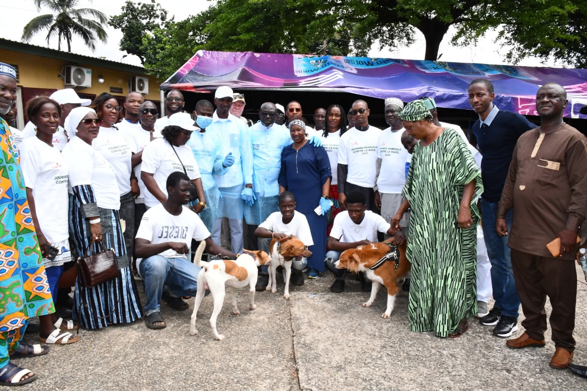 Matoto: Lancement de la Campagne de vaccination contre la rage